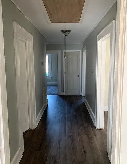 317 Land St — Photo 3