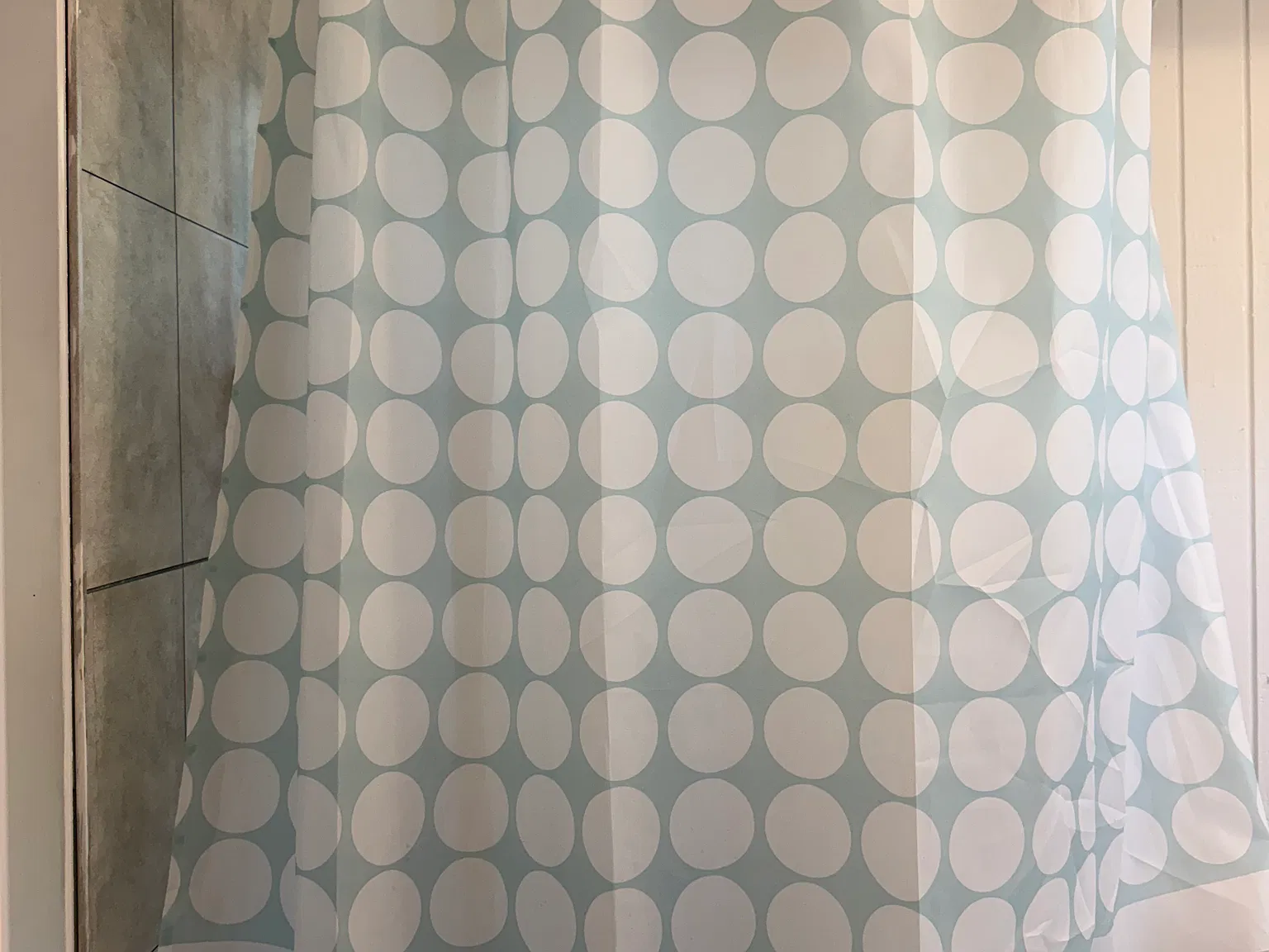 1 bed, $2,000 — Photo 4