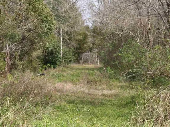 0 E Essex Rd, Hastings, FL 32145