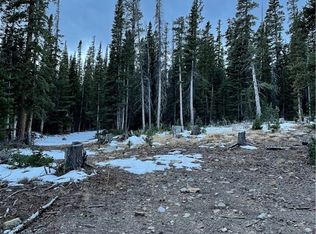 125 El Lobo Ln, Fairplay, CO 80440