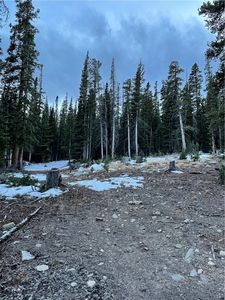 125 El Lobo Ln, Fairplay, CO, 80440