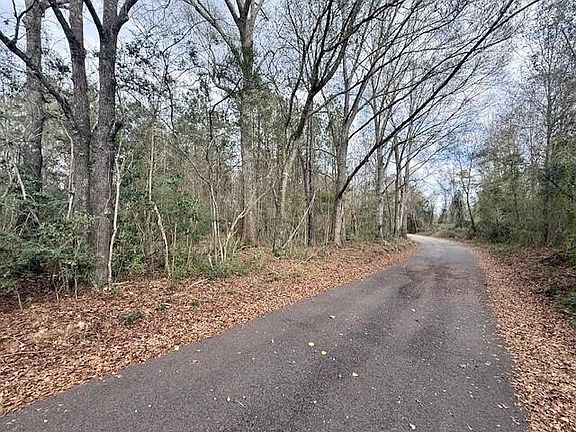 2nd image of 0 Burch Rd