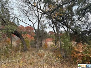 LOT 3 S State Highway 36, Flat, TX 76526