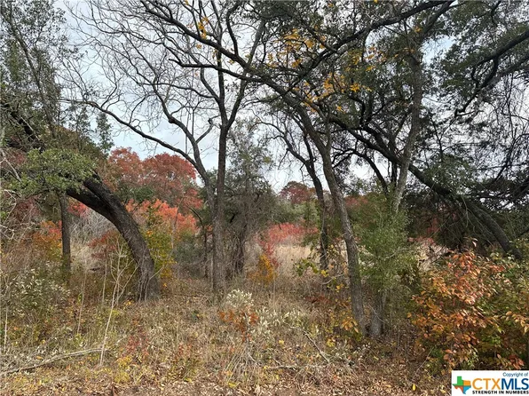 LOT 3 S State Highway 36, Flat, TX 76526