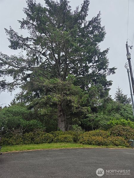 2nd image of 624 Wolf Ct SE