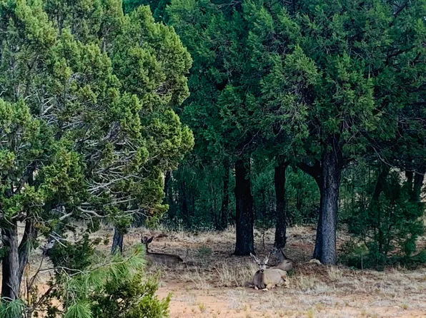 4829 Bald Eagle Way, Happy Jack, AZ 86024