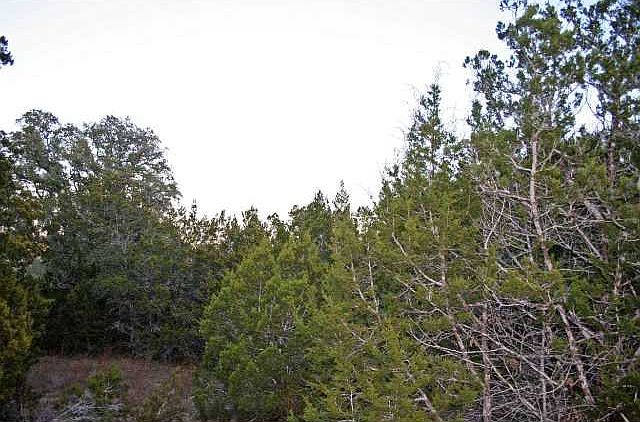 1st image of 845 Appaloosa Dr