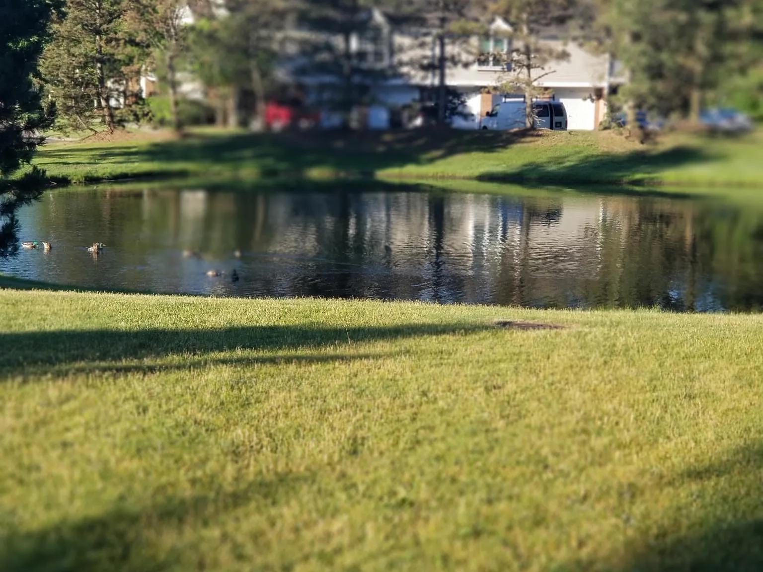 2 bed, 1400 sqft, $1,950 — Photo 3