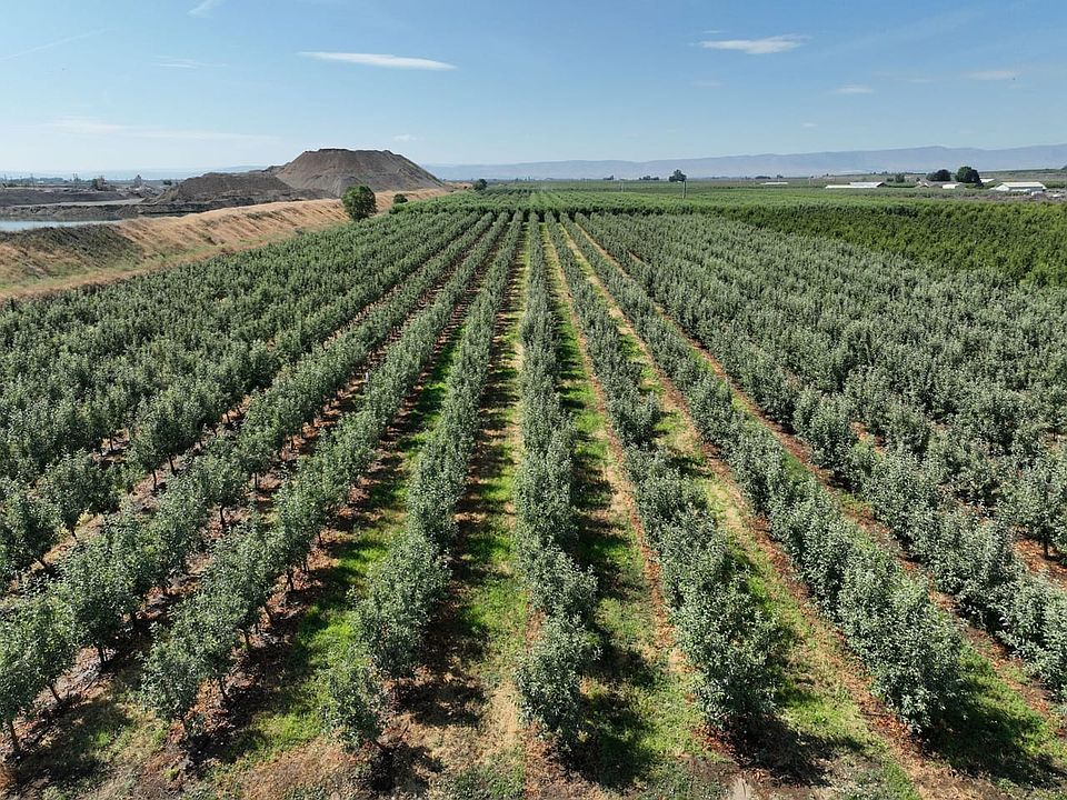 18431_Yakima-County-Washington-Orchard-56-Acres (2)