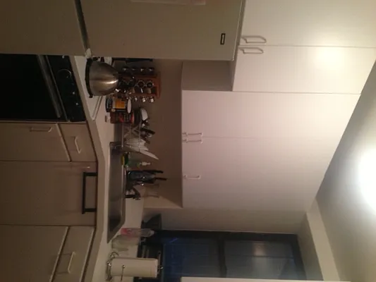 Rented by Pink Stone Realty LLC | media 1