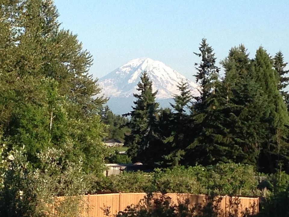 Beautifuf view of Mt Rainier