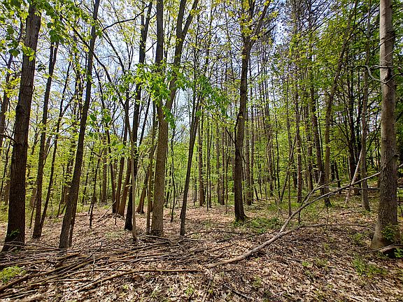 4th image of Tipsico Lake Rd Parcel A