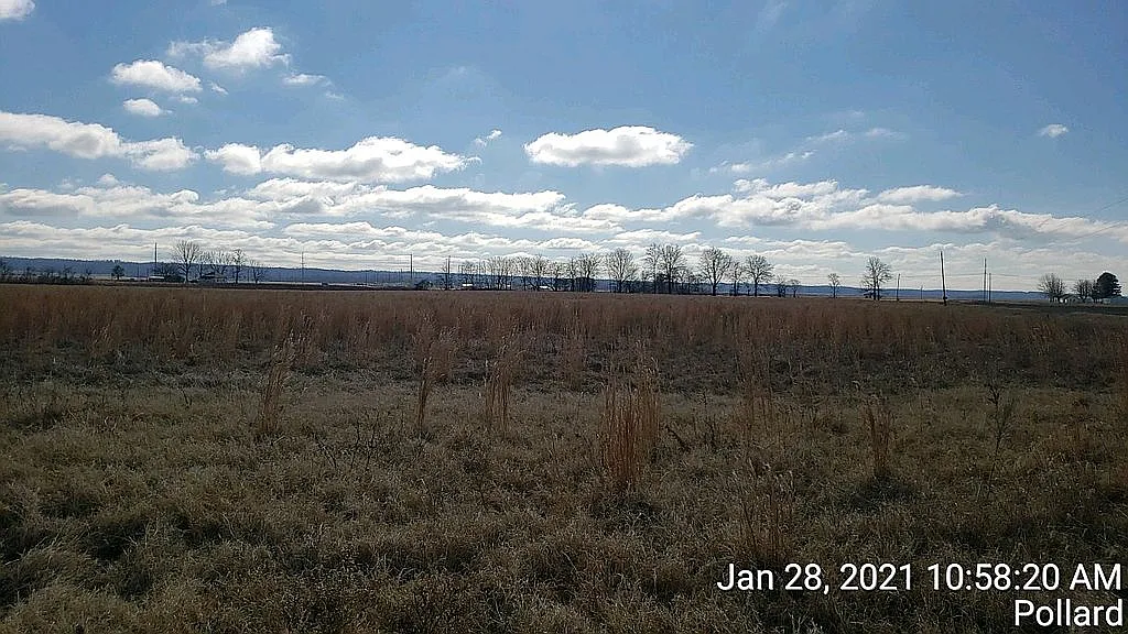 74 Clay Rd #325, Pollard AR - Owner Finance Home