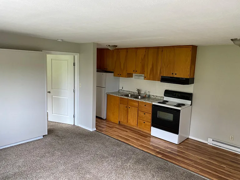 Living room and Kitchen