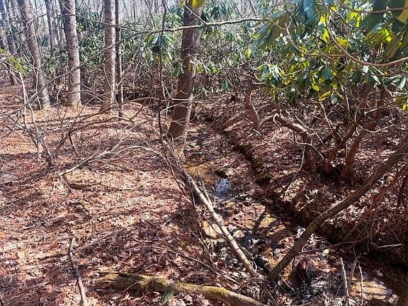 3rd image of 12 Chances Creek Rd