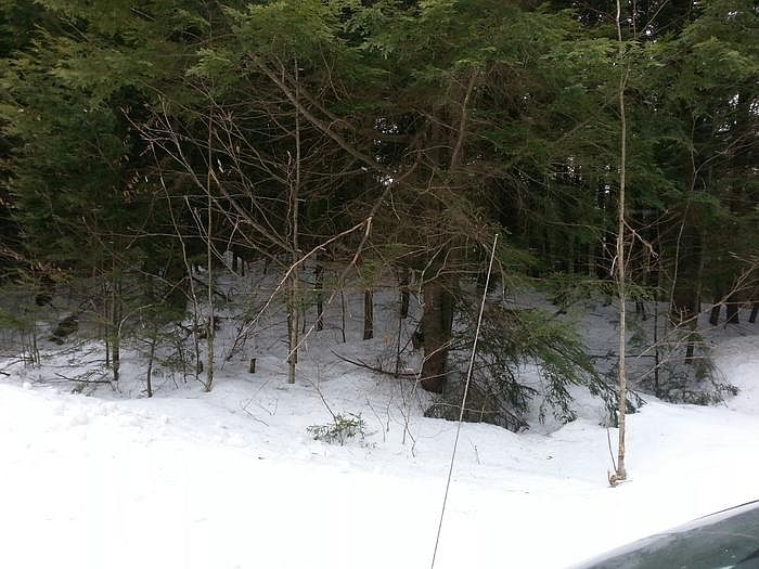 2nd image of Lot 16 Waterthorn Rd. Merrill Subdivision