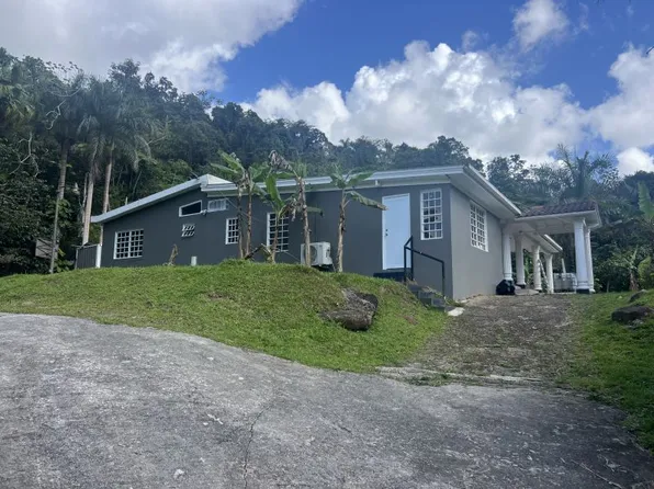 Bo Guaraguao Carr 123 Kmhm #24.6, Ponce, PR 00731