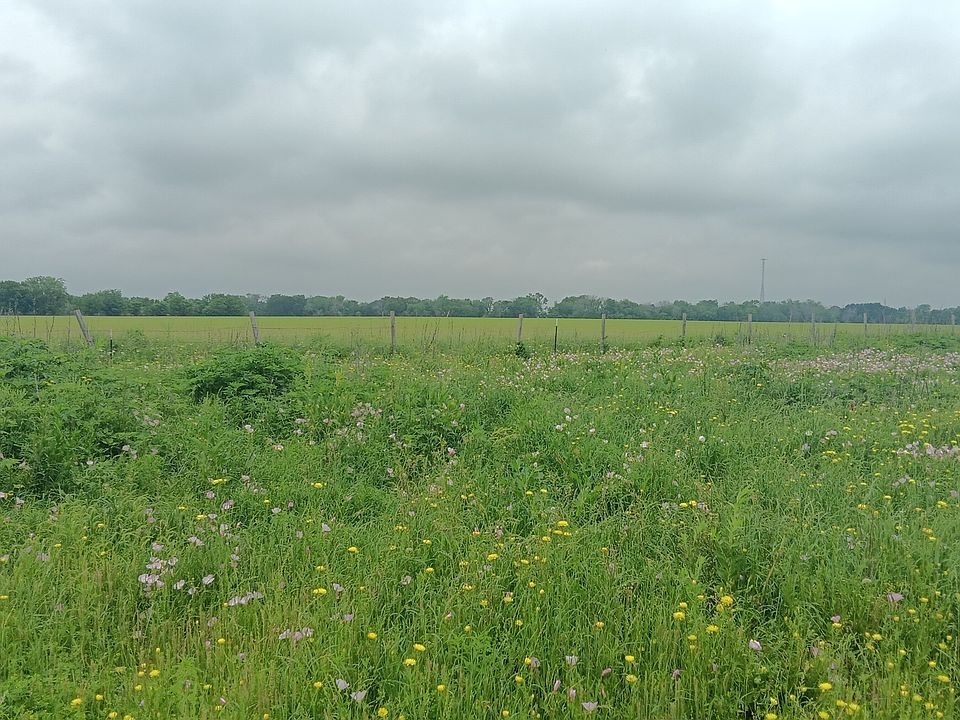1st image of Cr494n