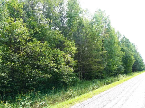 S-20 Acres RANGELINE ROAD, Deerbrook, WI 54424