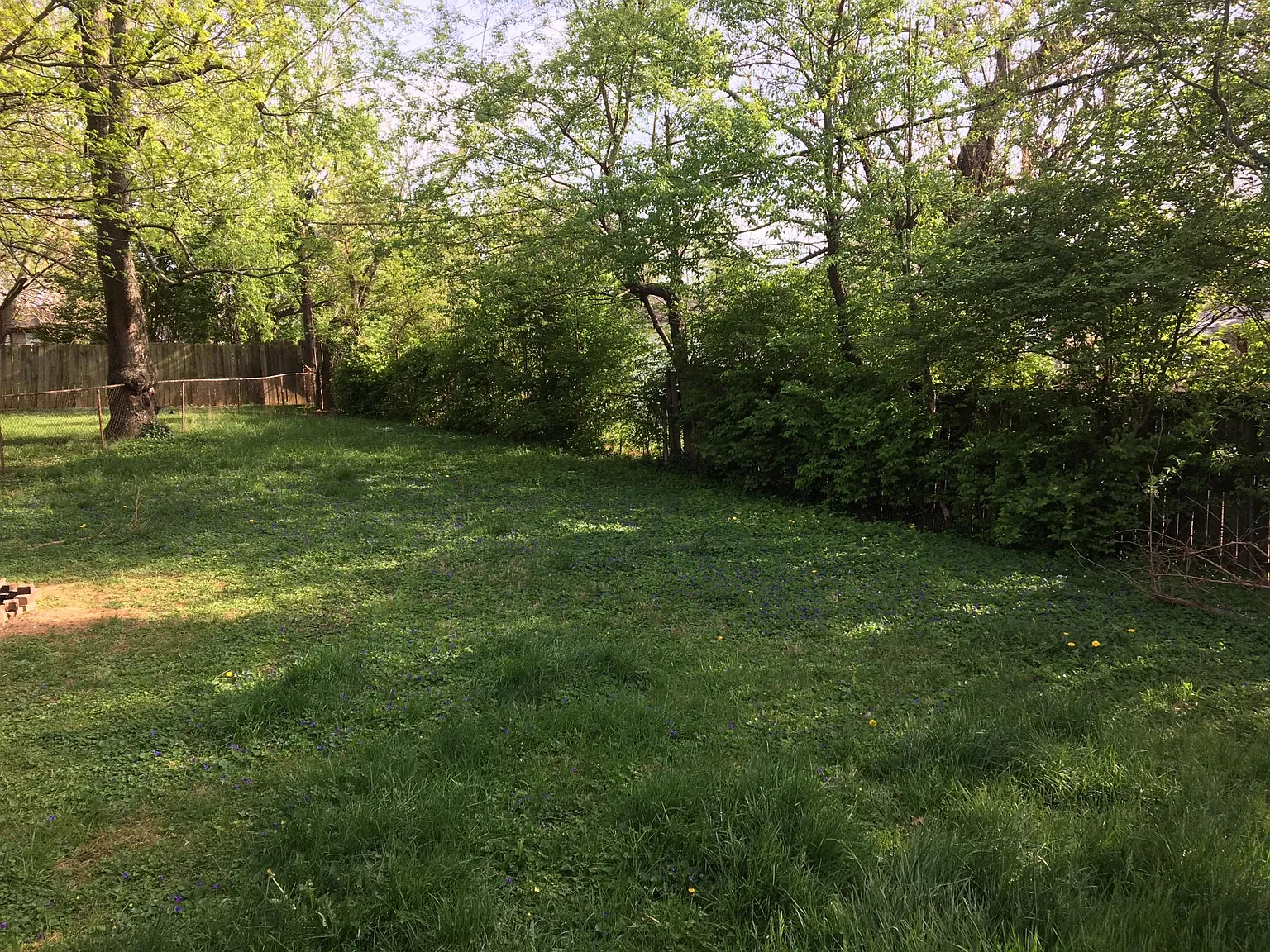 2 bed, 800 sqft, $1,090 — Photo 4