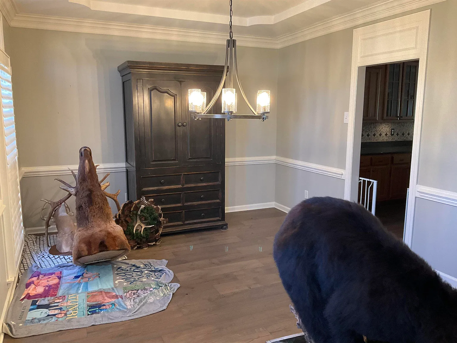 5 bed, 3.5 bath, 4323 sqft, $4,300 — Photo 4