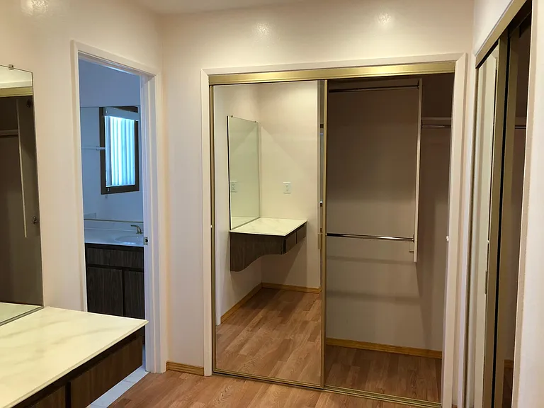 master closet and vanity area