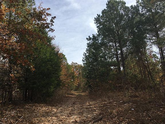 4th image of 5645 County Road 1804