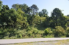 1st image of 4426 Toddsbury Dr