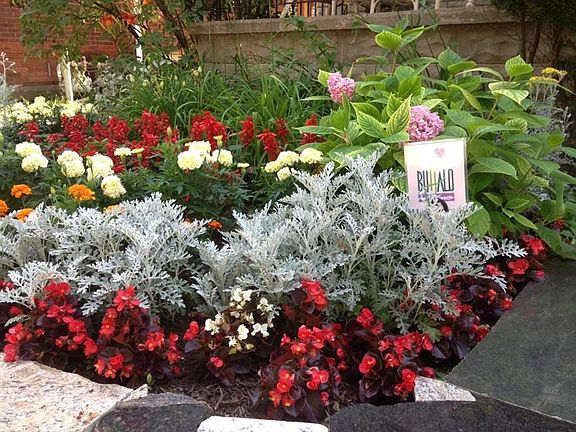 Homeowner keeps landscaping in top condition