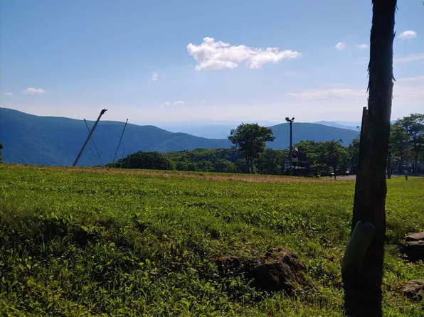 231 Timbers, Wintergreen Resort, VA 22967