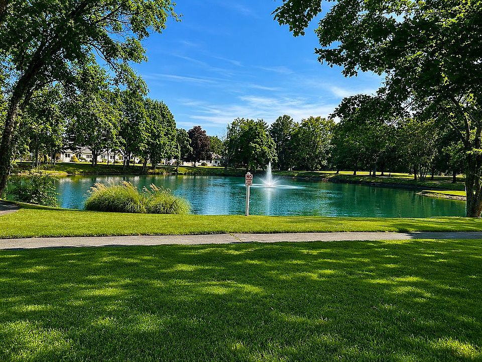 pond view