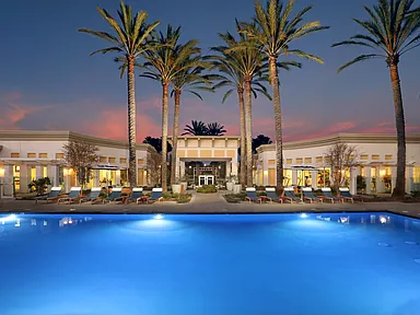Take A Dip!
