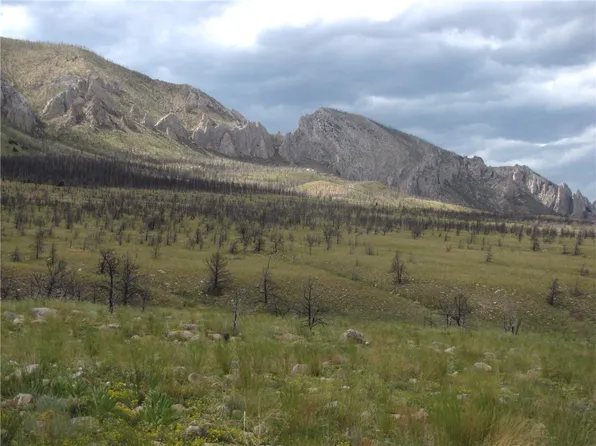 Nhn Ranger Way, Belfry, MT 59008