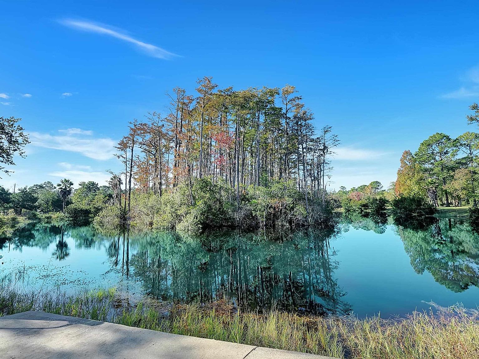 14212 Grover Rd, Jacksonville, FL 32226 Zillow