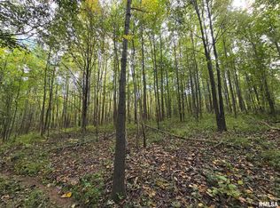 State Highway 145 South Hwy, Metropolis, IL 62960