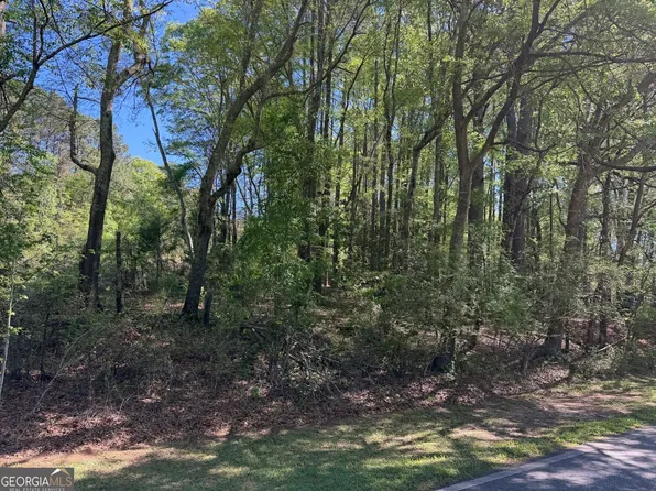 Roberts Quarters Rd, Concord, GA 30206