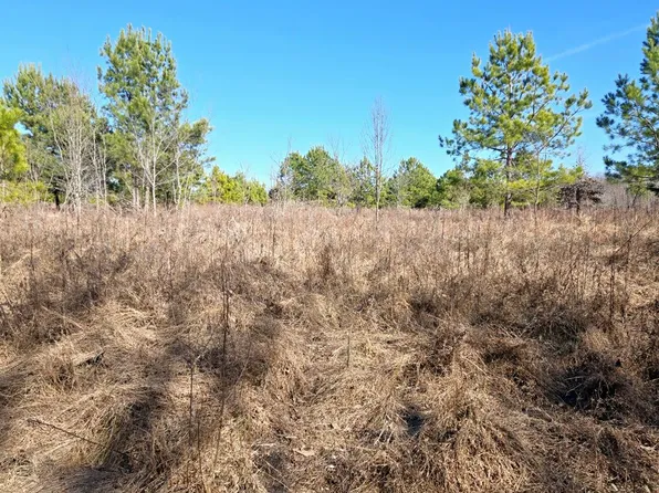 0 Cay Lawrence Rd, Buchanan, TN 38222