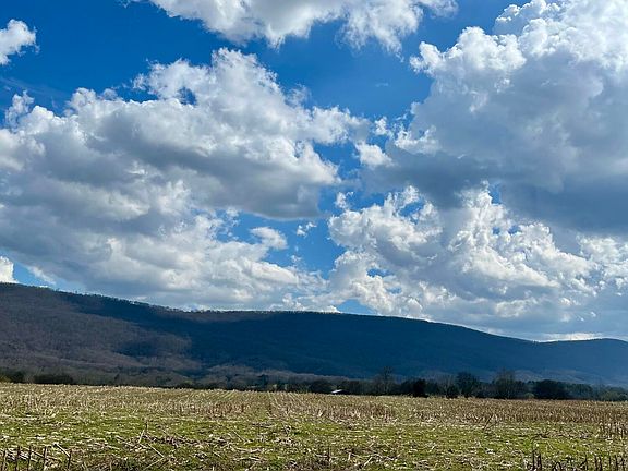 4th image of 7799 E Valley Rd