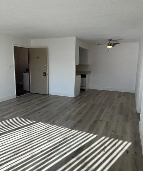 The Palms Apartments — Photo 53