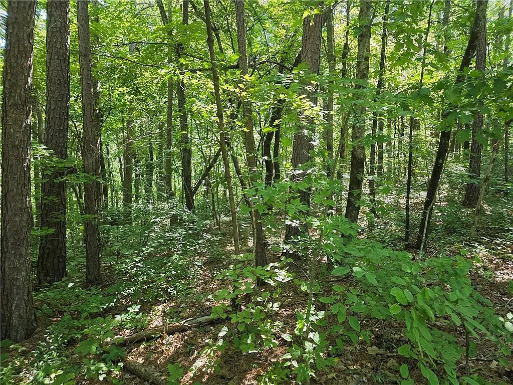 0 Byers Dr Lot 21 photo 1