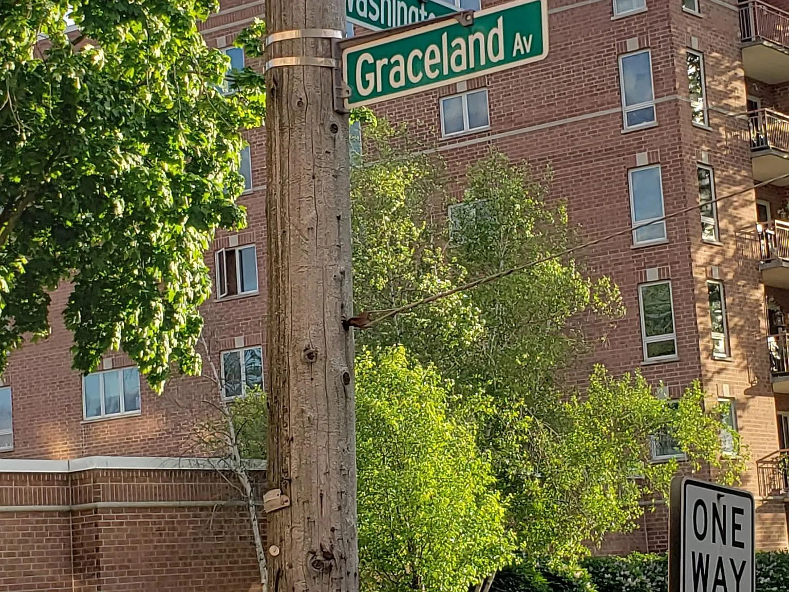 394 Graceland Ave — Photo 3