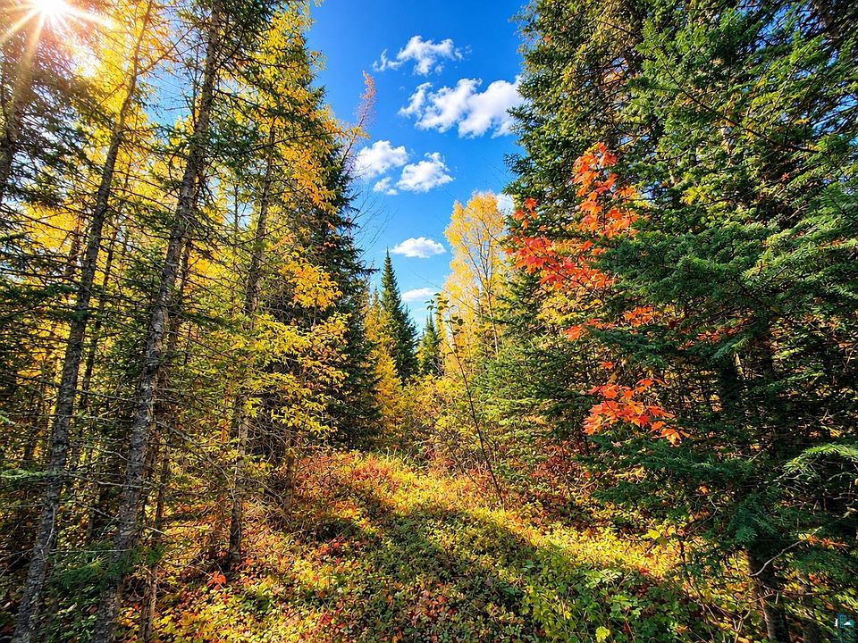 22nd image of TBD Hinkkanen Rd