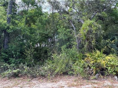 6622 W Yates Pl, Crystal River, FL, 34429