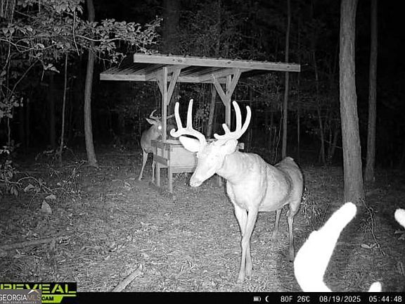 4th image of 0 Everett Wood Rd