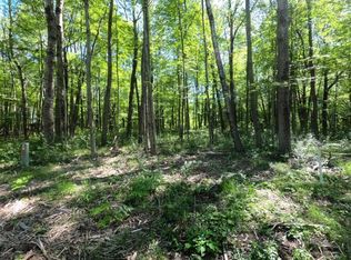 12095 Hudson Bay Dr, Stanwood, MI 49346