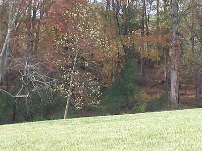 Lots 156, 157 &  158