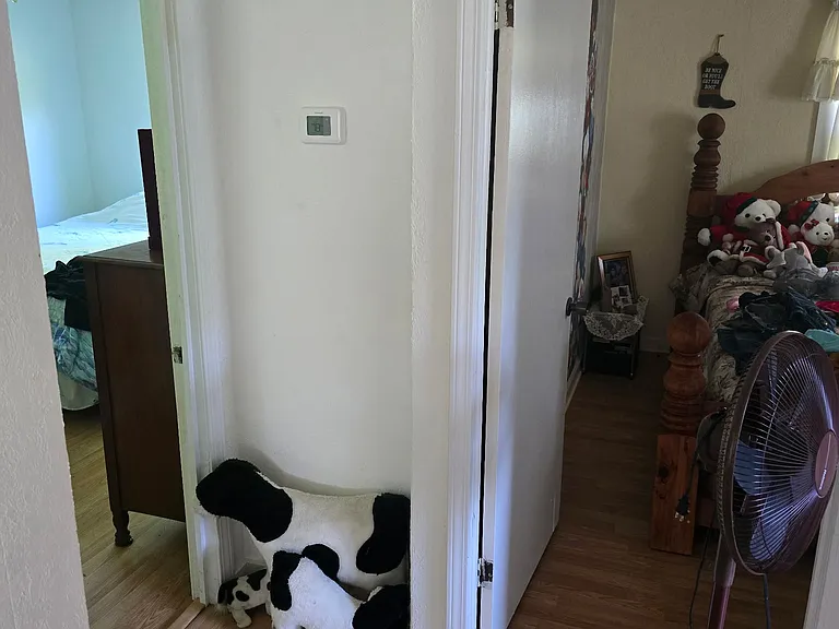 773 Shore Rd — Photo 6
