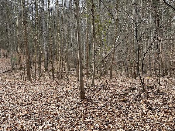 3rd image of Estaline Valley Rd