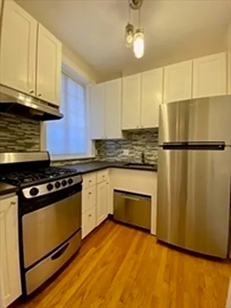 205 Mount Auburn St #1D — Photo 6