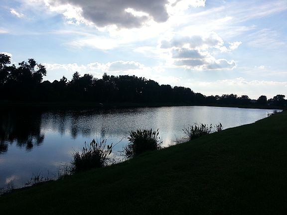 Backyard Fishing Pond